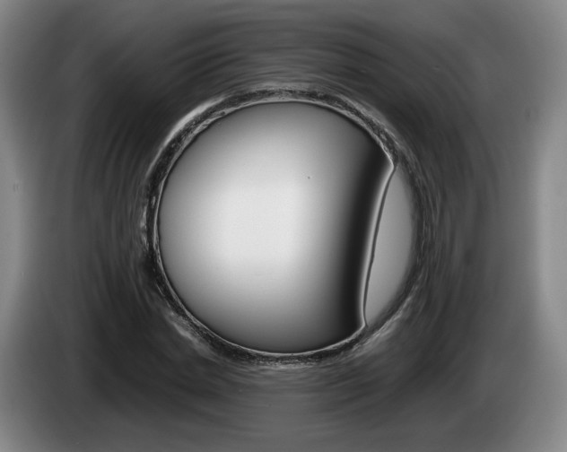 X0000085310830200703091052