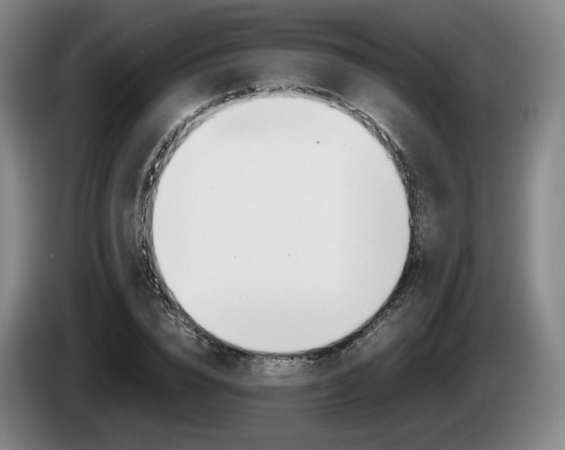 X0000085310832200703091052