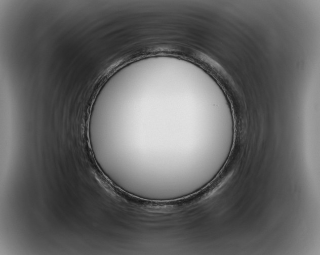 X0000085310833200703091052