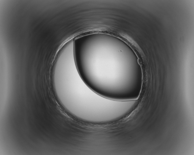 X0000085310834200703091052