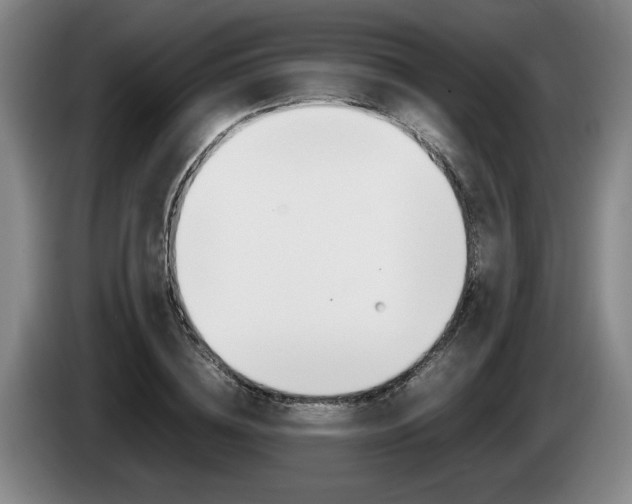 X0000085310836200703091052