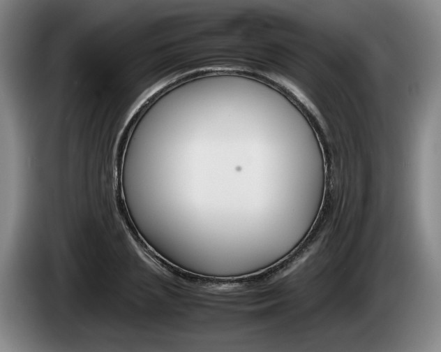 X0000085310837200703091052