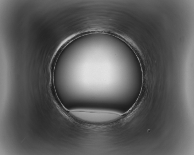 X0000085310838200703091052
