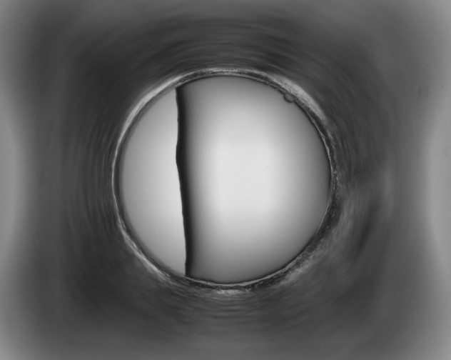 X0000085310839200703091052