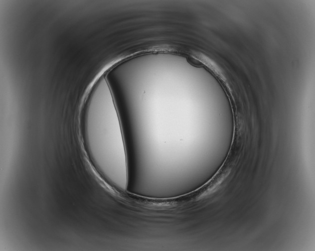 X0000085310843200703091052