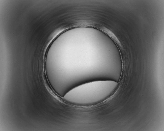 X0000085310844200703091052