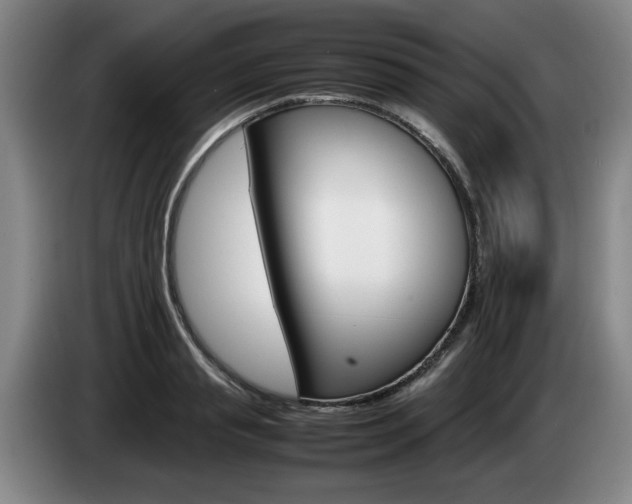 X0000085310845200703091052