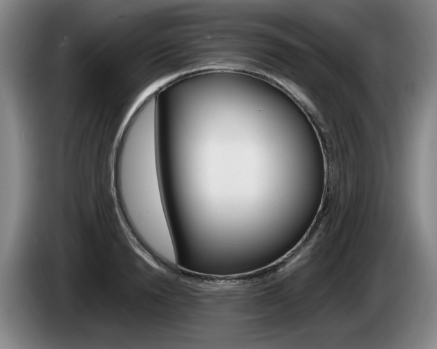 X0000085310846200703091052