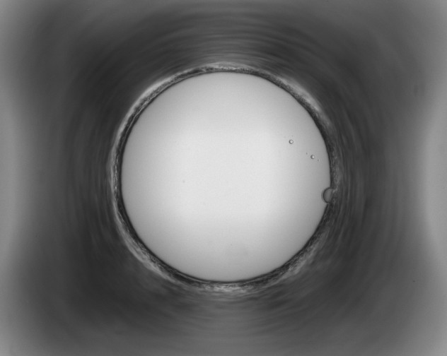 X0000085310848200703091052