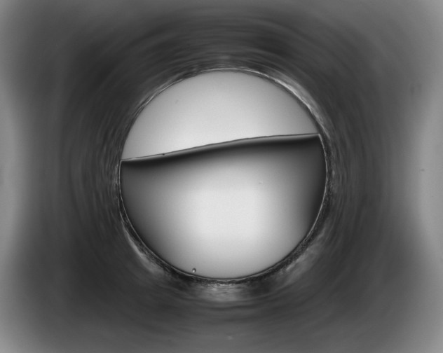 X0000085310849200703091052