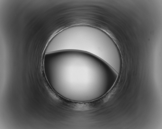 X0000085310850200703091052