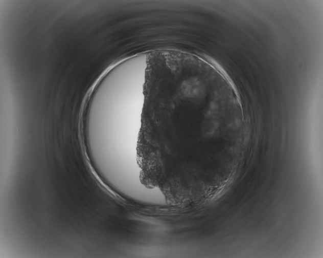 X0000085310851200703091052