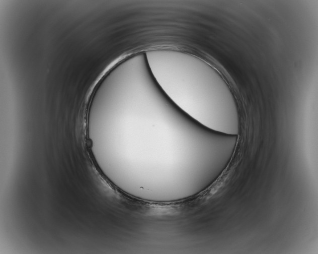 X0000085310852200703091052