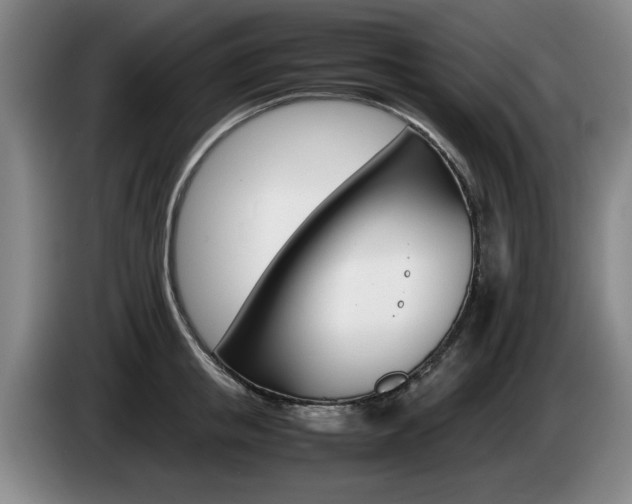 X0000085310853200703091052