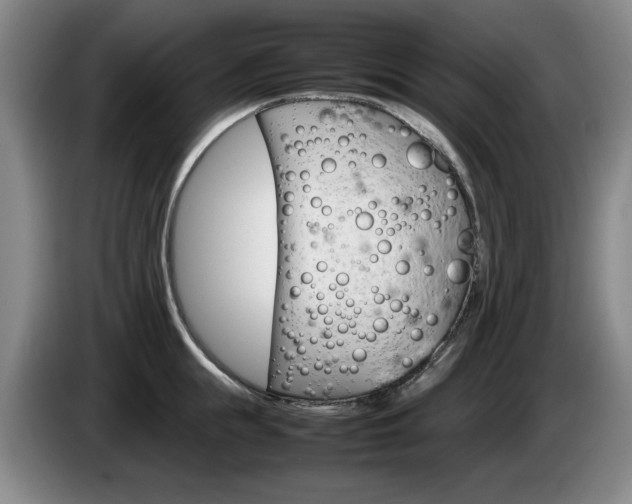 X0000085310855200703091052
