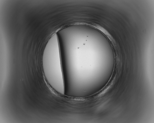 X0000085310857200703091053