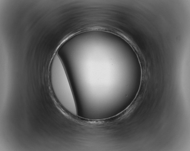 X0000085310858200703091053