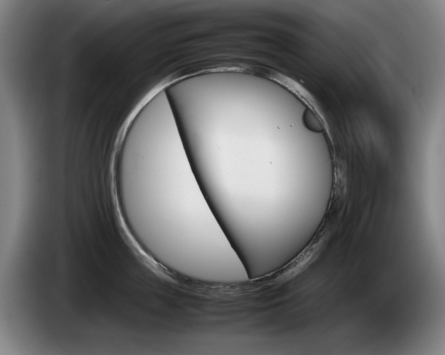 X0000085310859200703091053
