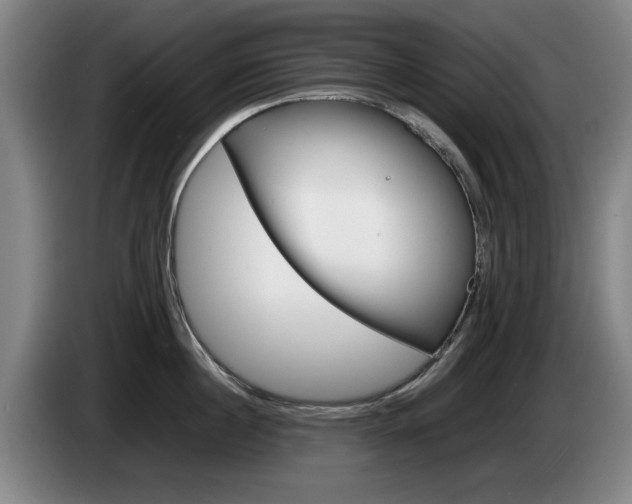 X0000085310860200703091053