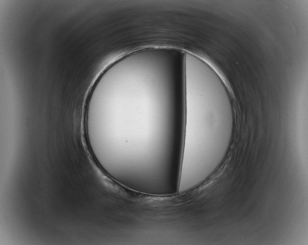 X0000085310861200703091053