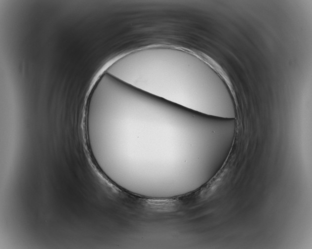 X0000085310863200703091053