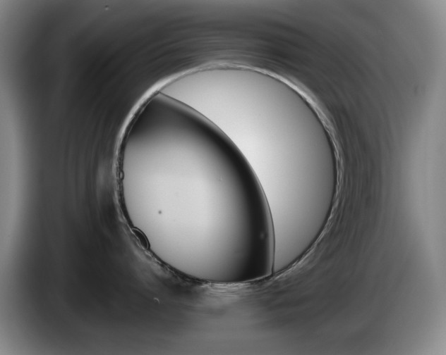 X0000085310864200703091053