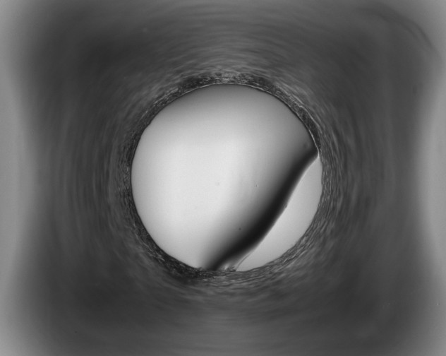 X0000085310865200703091052