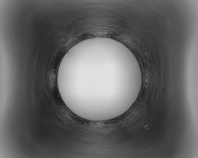 X0000085310866200703091052