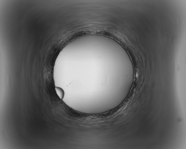 X0000085310867200703091052
