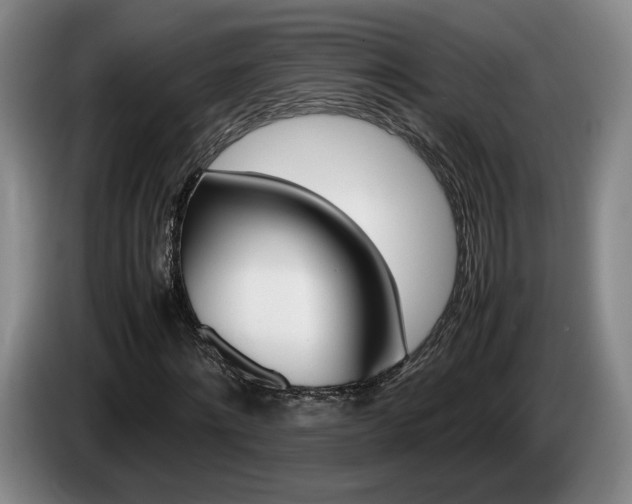 X0000085310868200703091052