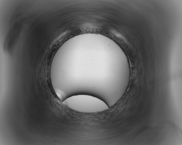 X0000085310870200703091052