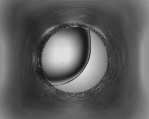 X0000085310872200703091052