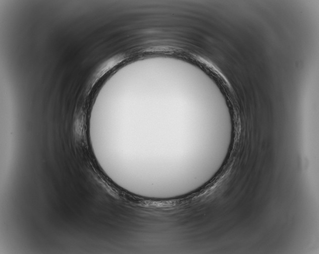X0000085310874200703091052