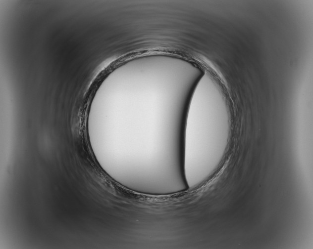 X0000085310875200703091052