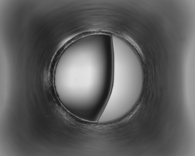X0000085310876200703091052