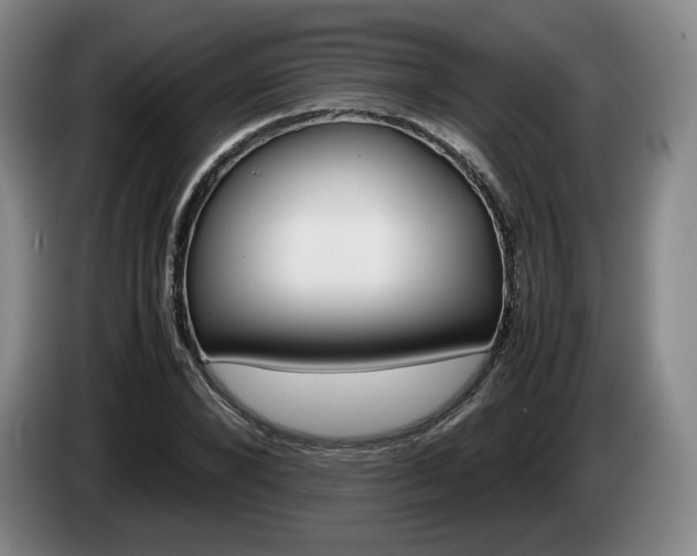 X0000085310880200703091052