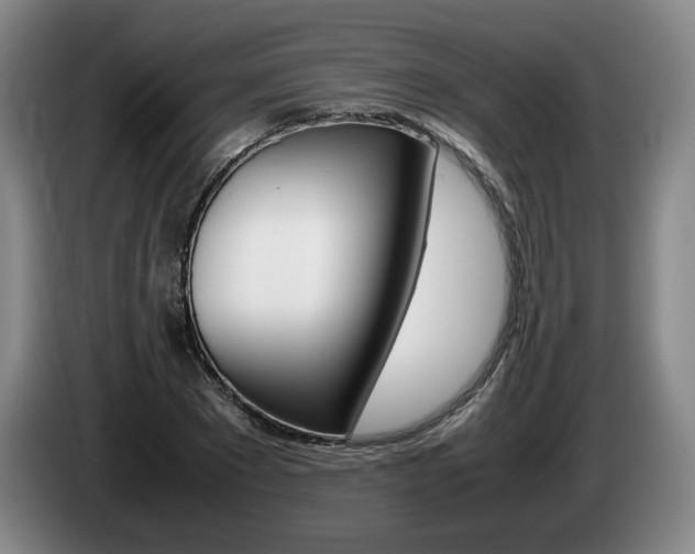 X0000085310881200703091052
