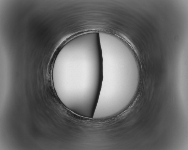 X0000085310883200703091052