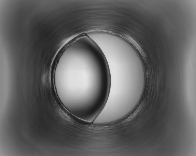 X0000085310884200703091052