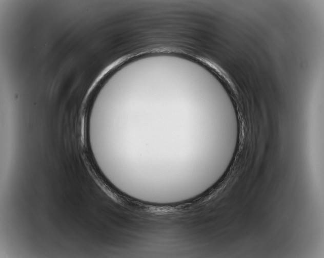 X0000085310886200703091052