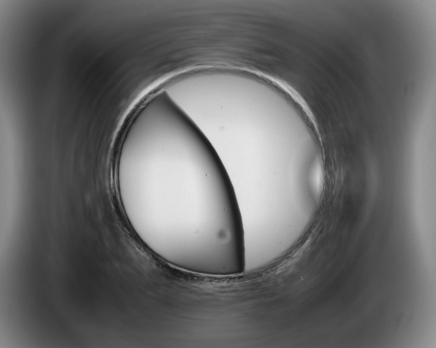 X0000085310887200703091052
