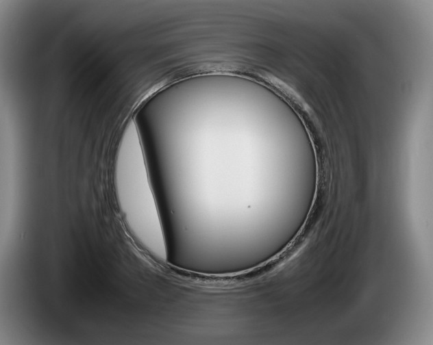 X0000085310889200703091052