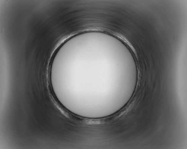 X0000085310890200703091052