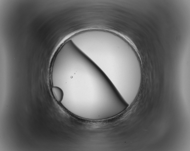 X0000085310895200703091052