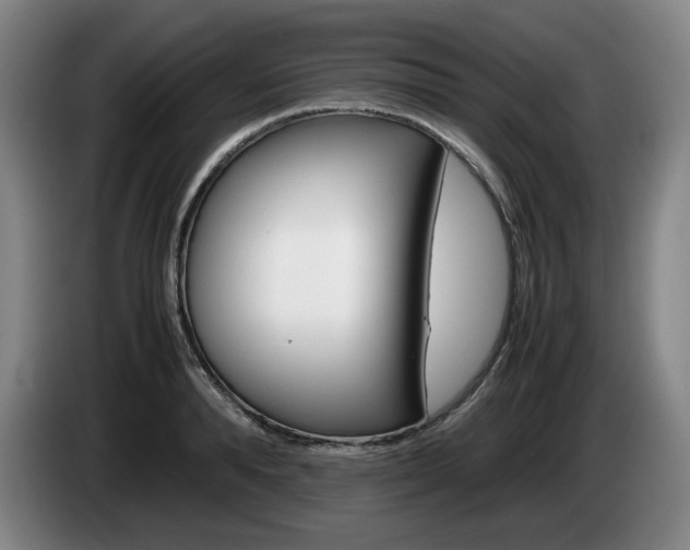 X0000085310896200703091052