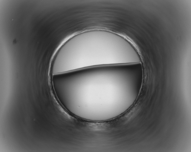 X0000085310902200703091051