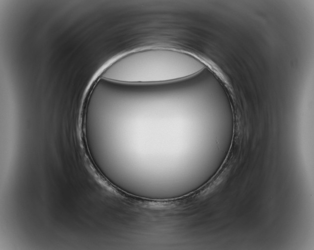 X0000085310904200703091051