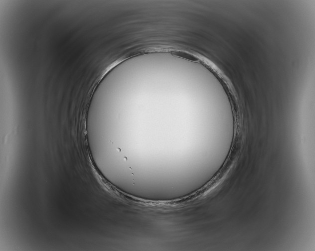 X0000085310905200703091051