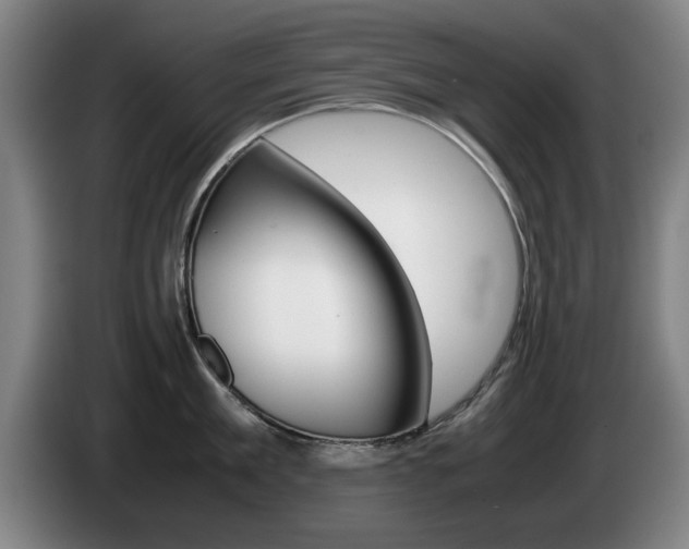 X0000085310909200703091051