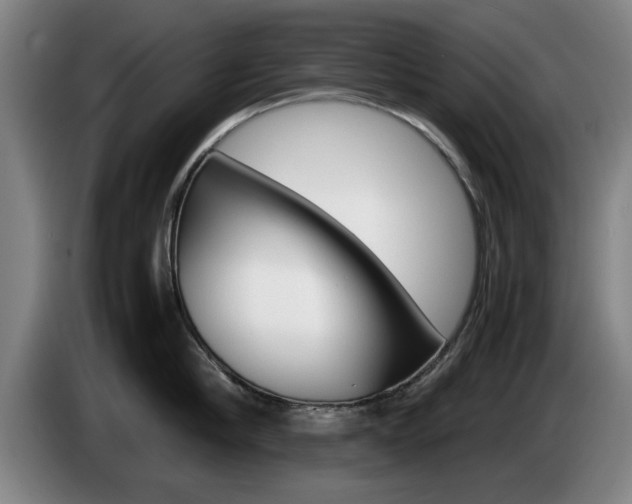 X0000085310910200703091051